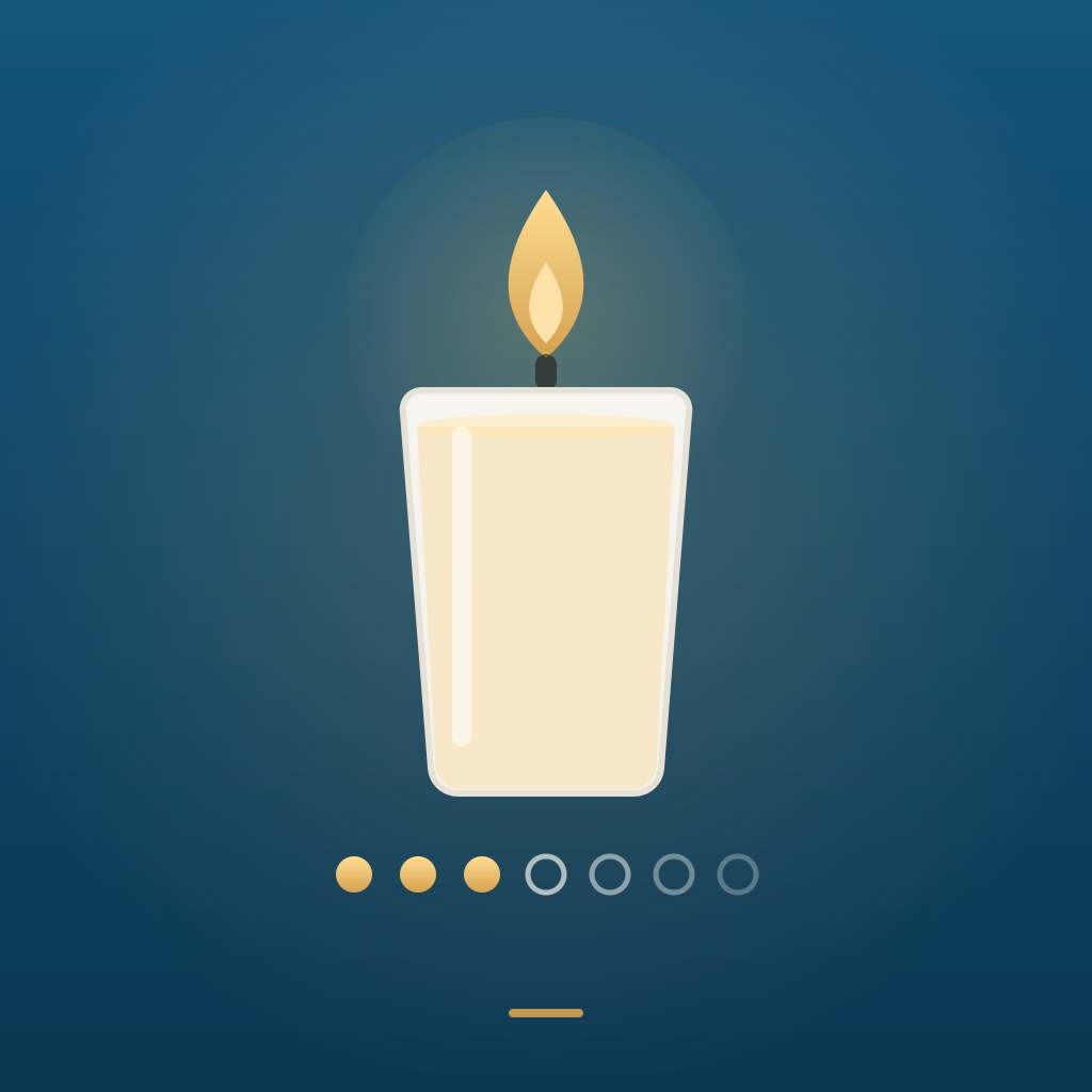 Shiva: Organize the Week app icon
